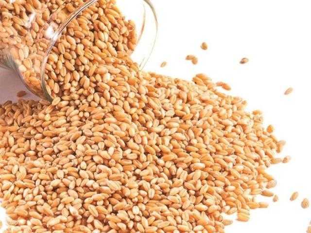 ارتفاع العقود الآجلة للقمح بعد أدنى مستوى لها في أسبوعٍ واحد..