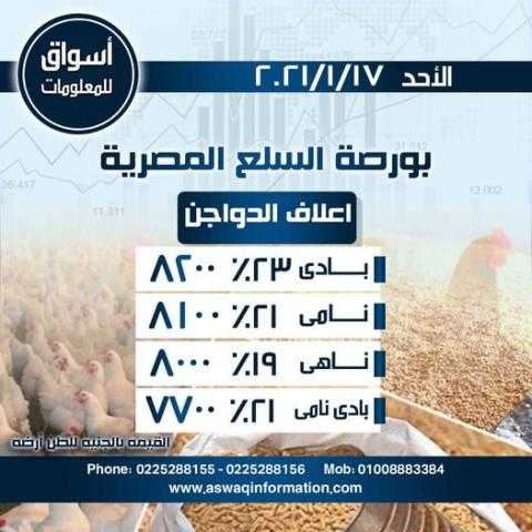 أسواق للمعلومات ترصد أسعار أعلاف الدواجن في السوق المحلي المصري ليوم الاحد 17 يناير 2021..