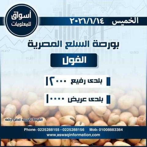 أسواق للمعلومات ترصد أسعار الفول ( بلدي رفيع - بلدي عريض ) في السوق المحلي المصري ليوم الخميس 14 يناير 2021..