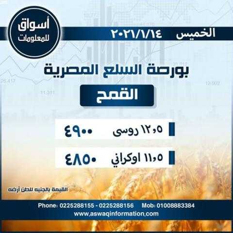 أسواق للمعلومات ترصد أسعار القمح ( روسي - أوكراني ) في السوق المحلي المصري ليوم الخميس 14 يناير 2021..