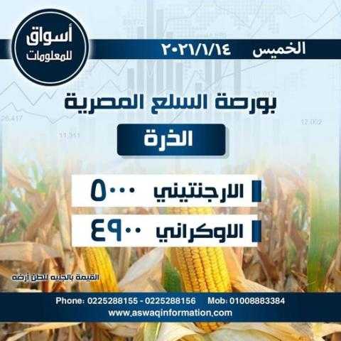 أسواق للمعلومات ترصد أسعار الذرة ( أرجنتيني - أوكراني ) في السوق المحلي المصري ليوم الخميس 14 يناير 2021..