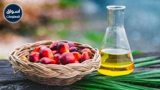 زيت النخيل يغلق عند أدنى مستوى له في أسبوعين بسبب الطلب البطيء في يناير..