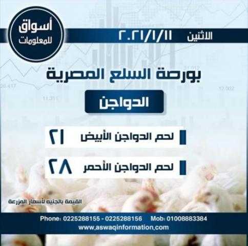 أسواق للمعلومات ترصد أسعار الدواجن في السوق المحلي المصري ليوم الإثنين 11 يناير 2021..
