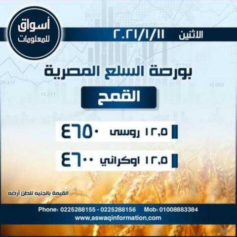 أسواق للمعلومات ترصد أسعار القمح في السوق المحلي المصري ليوم الإثنين 11 يناير 2021..
