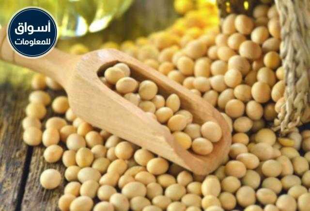تراجع أسعار فول الصويا على خلفية الطقس الجيد في أمريكا الجنوبية..