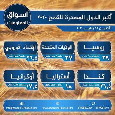 أسواق للمعلومات ترصد أكبر الدول المصدرة للقمح فى العالم لعام 2020..