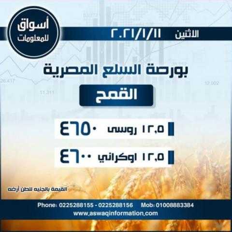 أسواق للمعلومات ترصد أسعار القمح في السوق المحلي المصري ليوم الإثنين 11 يناير 2021..
