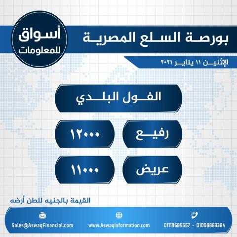 أسواق للمعلومات ترصد أسعار الفول البلدي في السوق المحلي المصري ليوم الإثنين 11 يناير 2021..
