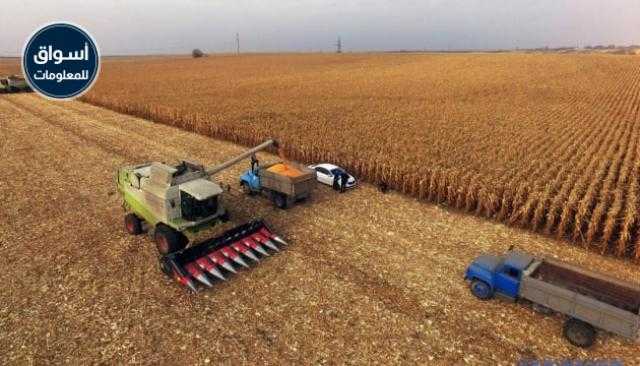 أوكرانيا تخفض بيانات محصول القمح والشعير لموسم 2021/20..