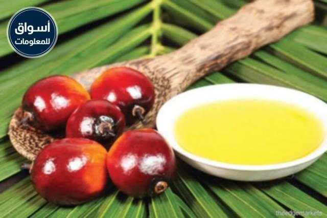 تراجع أسعار زيت النخيل الماليزي وسط ارتفاع واردات الهند