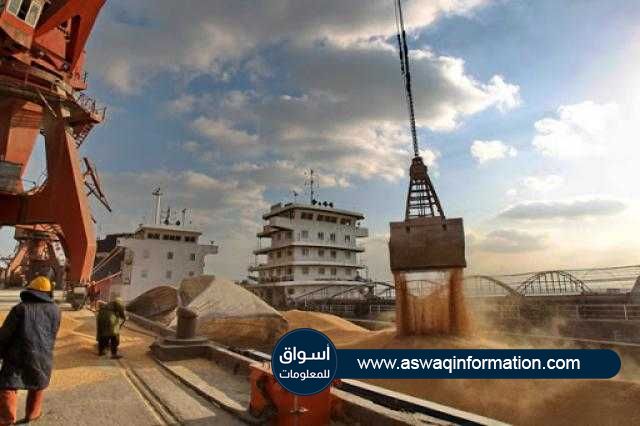 أسعار تصدير القمح الروسي ترتفع للأسبوع الثاني تماشياً مع الأسعار العالمية