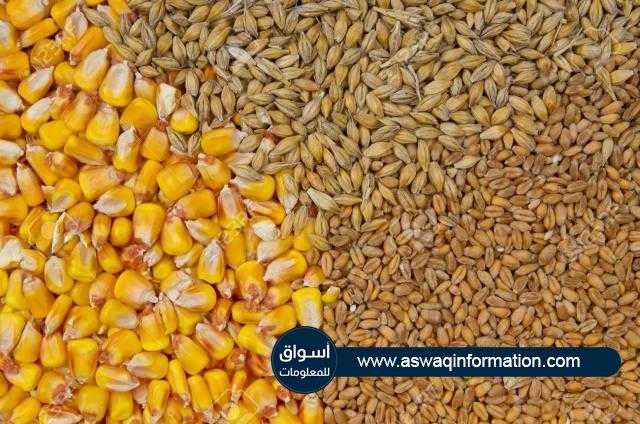 ارتفاع أسعار تصدير القمح والذرة في أوكرانيا خلال الأسبوع الماضي