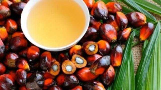 ارتفاع العقود الآجلة لزيت النخيل الماليزي بنحو 30 دولار لتصل إلى أعلى مستوى منذ 2008