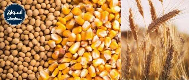 ارتفاع العقود الآجلة  لــ «الذرة وفول الصويا والقمح» في بورصة شيكاغو بجلسة نهاية الأسبوع