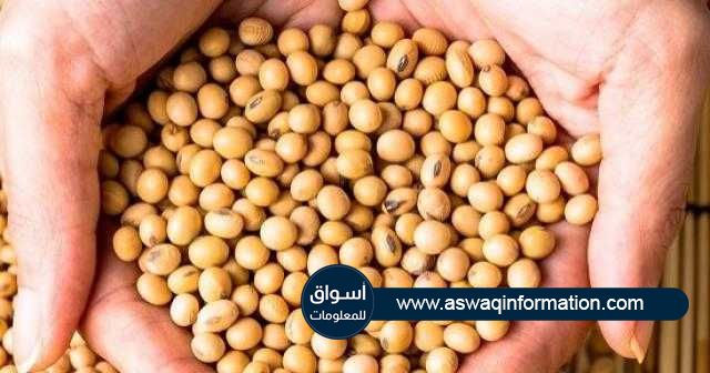 %2.29 تراجع بأسعار بذرة الصويا في جلسة إغلاق اليوم في بورصة شيكاغو