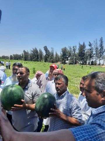 الزراعة : نجاح مشروع إنتاج بذور تقاوي البطيخ محلياً وطرحها في السوق المحلي للموسم الزراعي المقبل