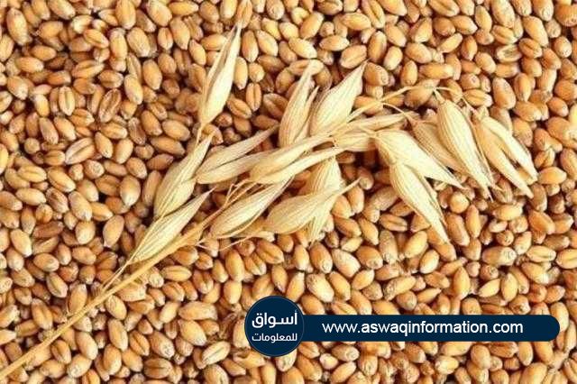 القمح يتراجع للجلسة الخامسة علي التوالي في بورصة شيكاغو للتجارة