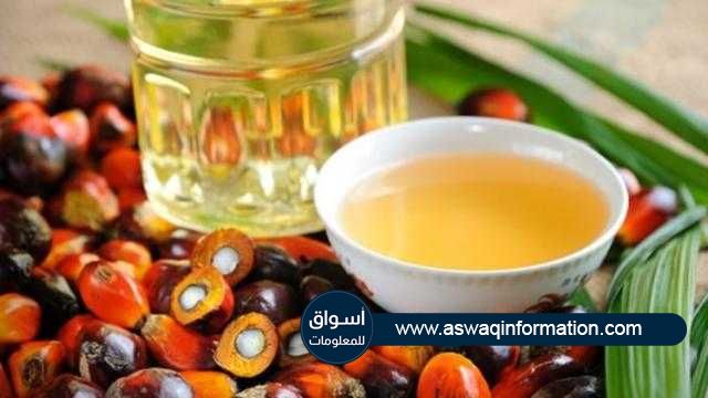 زيت النخيل الماليزي يتراجع بنحو 60 دولار خلال تداولات الأسبوع في بورصة ماليزيا للمشتقات