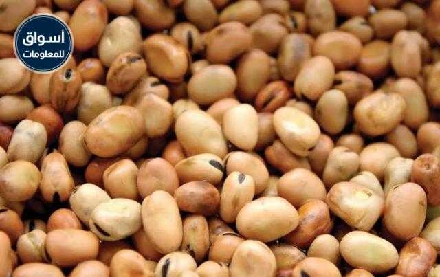 أسعار الفول تستقر في السوق المحلي اليوم الأربعاء 26 مايو 2021