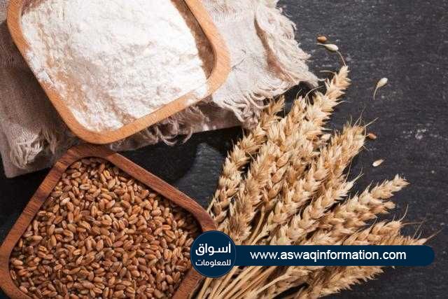 أسعار القمح ترتفع في بورصة شيكاغو خلال تداولات جلسة اليوم