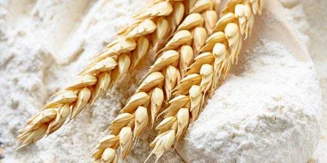 استقرار أسعار القمح و الدقيق في السوق المحلي ليوم الجمعة 28 مايو 2021‏