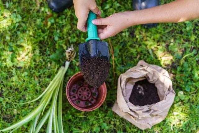 استقرار أسعار الأسمدة في السوق المحلي والعالمي اليوم الإثنين 31 مايو 2021