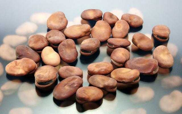 أسعار الفول تستقر في السوق المحلي اليوم الإثنين 31 مايو 2021