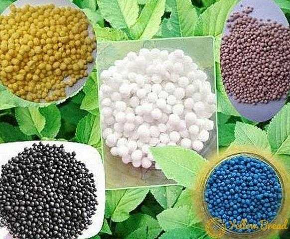 استقرار أسعار الأسمدة في السوق المحلي والعالمي اليوم الثلاثاء 1 يونيو 2021