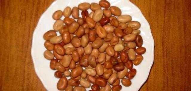 استقرار أسعار الفول بالسوق المحلي اليوم الثلاثاء 1 يونيو 2021