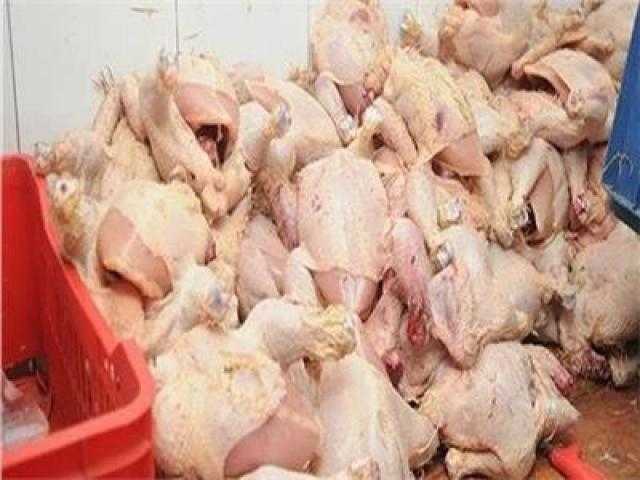 ضبط 5.5 طن مصنعات دواجن غير صالحة للاستهلاك الآدمي