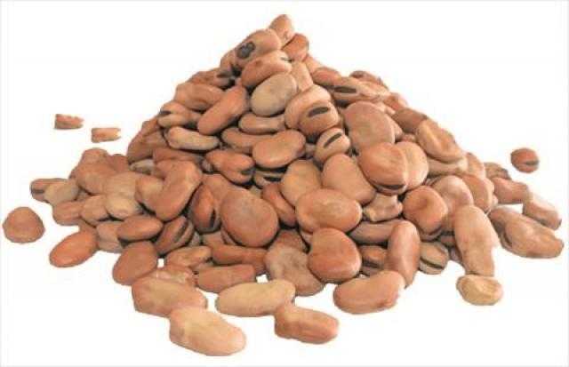 استقرار أسعار الفول بالسوق المحلي اليوم الخميس 3 يونيو 2021