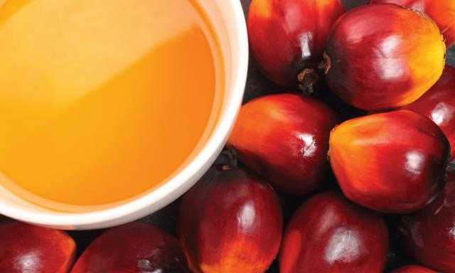 استمرار ارتفاع أسعار زيت النخيل في بورصة ماليزيا لليوم الثاني علي التوالي