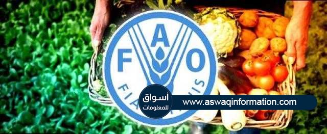 الفاو : أسعار الغذاء ارتفعت في مايو لأعلى مستوى منذ سبتمبر 2011