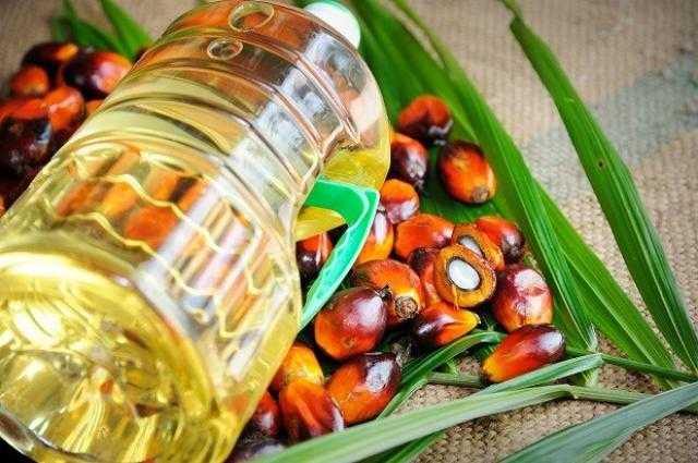 تراجع أسعار زيت النخيل الماليزي في جلسة نهاية الأسبوع بدعم من ارتفاع مخزونات مايو