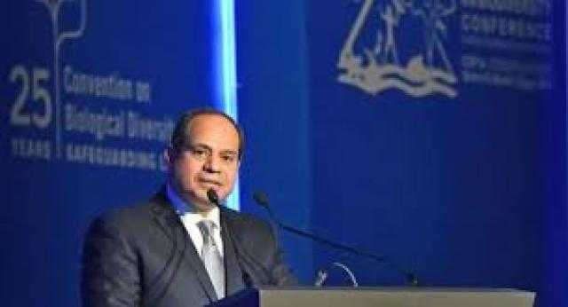 ملف التعاون الدولي يزدهر في 7 سنوات من رئاسة السيسي