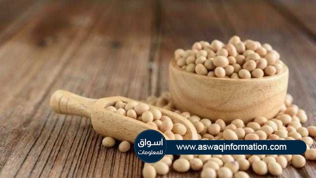 فول الصويا يغلق علي ارتفاع في بورصة شيكاغو بدعم من الطقس الجاف
