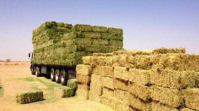 «أسواق للمعلومات»  ترصد أسعار الأعلاف في السوق المحلي اليوم السبت 12 يونيو