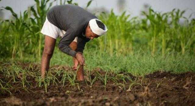 تعرف على .. أسعار الأسمدة بالسوق المحلي والعالمي ليوم الأحد 13 يونيو 2021