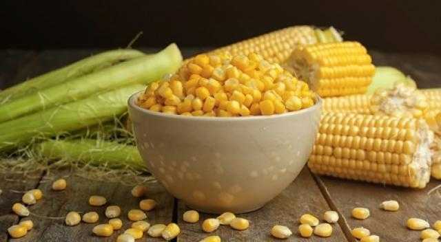 تعرف على .. أسعار الذرة في السوق المحلي والعالمي ليوم الأحد 13 يونيو 2021