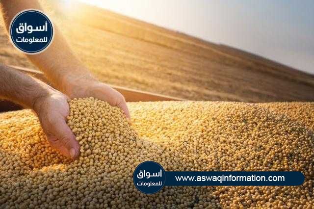فول الصويا ينخفض بمستهل تعاملات اليوم الاثنين في بورصة شيكاغو