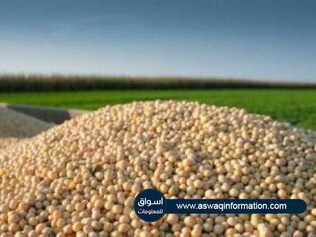 انخفاض سعر فول الصويا لليوم السادس علي التوالي في بداية تعاملات ببورصة شيكاغو