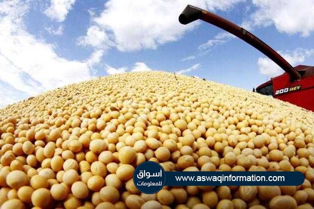 العقود اﻵجلة لفول الصويا تغلق علي تراجع بنسبة 1.18%في بورصة شيكاغو اليوم اﻷربعاء