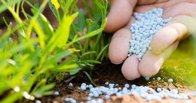 استقرار أسعار الأسمدة محلياً رغم الانخفاض العالمي