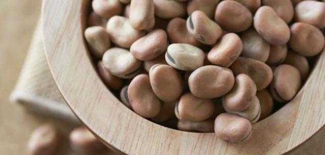 تعرف على.. أسعار الفول (البلدي - المستورد ) بالسوق المحلي في عطلة نهاية الأسبوع