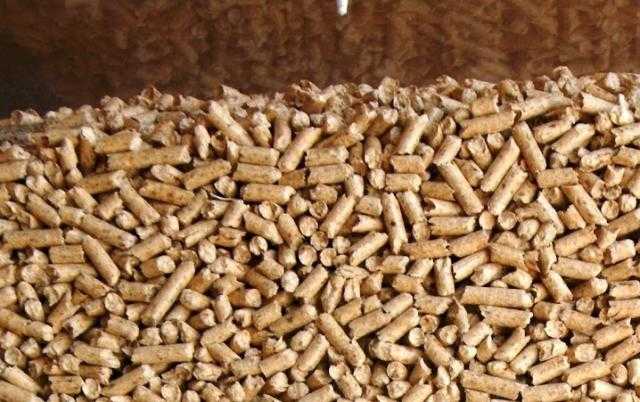 استقرار أسعار الأعلاف بالسوق المحلي اليوم السبت 19 يونيو 2021