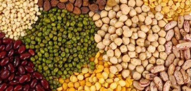 استقرار أسعار الأعلاف في السوق المحلي ليوم الإثنين 21 يونيو 2021