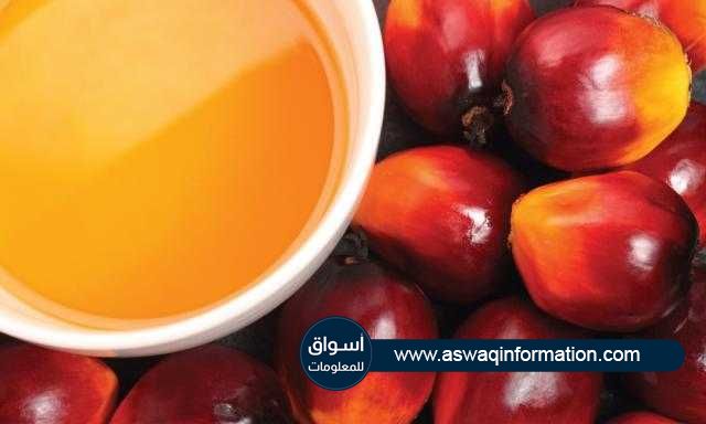 تراجع العقود الآجلة لزيت النخيل بمقدار 10 دولارات في الجلسة الصباحية اليوم الاثنين