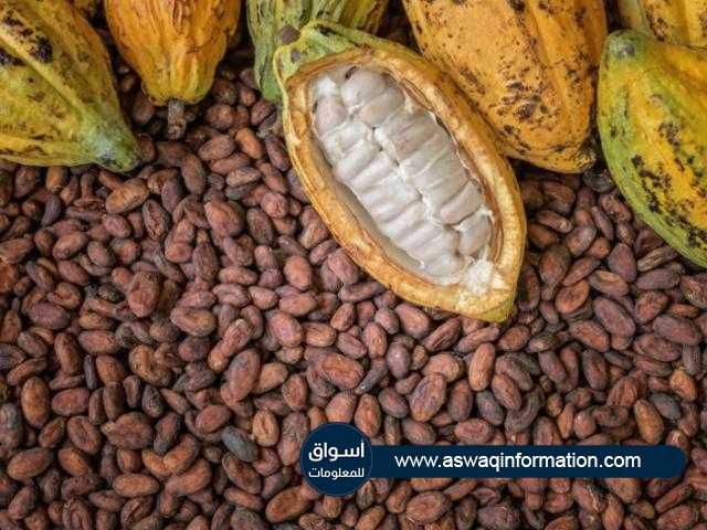 ارتفاع صادرات ساحل العاج من الكاكاو إلي أكثر من 2 مليون طن خلال موسم 2020/21