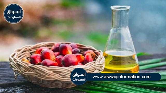 تراجع العقود الآجلة لزيت النخيل في الجلسة المسائية بعد ارتفاعها صباح اليوم الثلاثاء