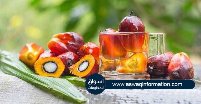 زيت النخيل يتراجع بمقدار 7.50 دولار في الجلسة الصباحية ببورصة ماليزيا اليوم